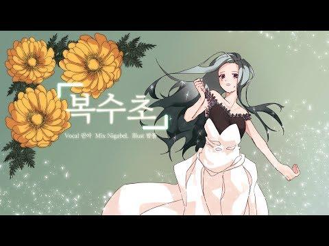 【모하】 복수초 (福寿草) Cover 썸네일