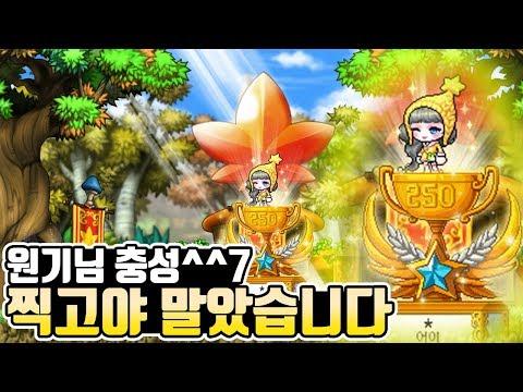 [메이플☆어이] 제가 250을 할 줄은 몰랐네요... 기념으로 엔버노래! (8주년 테마) 탈메는 지능순이에요~!!! 썸네일