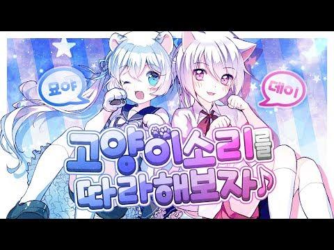 [데이x묘야] 고양이 소리를 따라해보자 / 小潘潘 x 小峰峰 - 學貓叫 Korean Cover (커버송) 썸네일