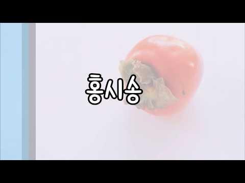 요츠바 코에가 부른 시유의 홍시송 (cover) 썸네일
