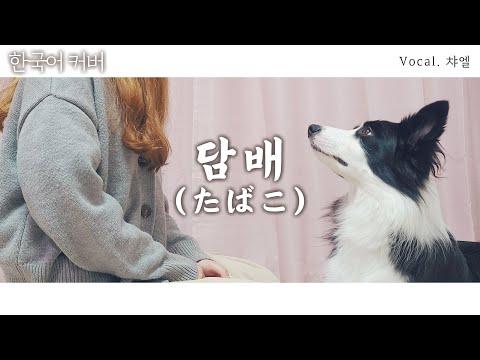 【챠엘】 타바코 한국어 커버 (담배/たばこ) 썸네일