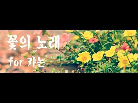 【챠엘】 꽃의 노래 한국어 ver (花のうた/hanano uta) For 카논【한국어 자막】 썸네일