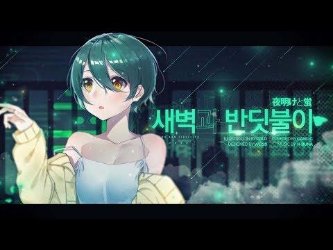 【강지】 ✿새벽과 반딧불이! (夜明けと蛍)✿ 「Korean Cover」 썸네일