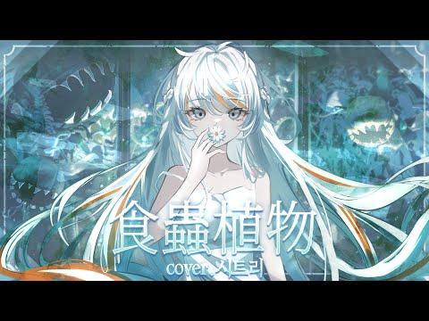 【Cover】 食蟲植物(식충식물)-理芽 【 시트리 】 썸네일