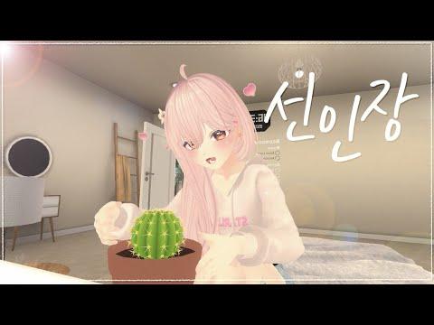 선인장(Cactus) - 우현(INFINITE),Lucia(심규선) COVER by 봄미 썸네일